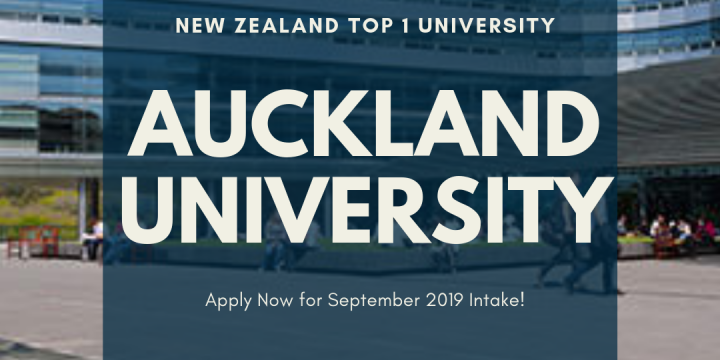 Auckland Univesity